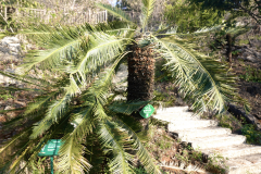 最开始是在山窝窝里面搭帐篷