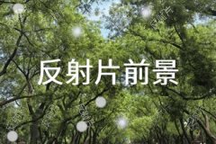 <b>预测方法的选择和模型的建立</b>